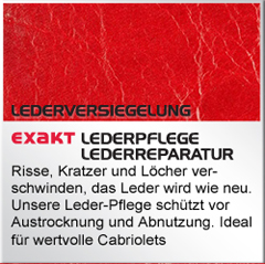 Smart Repair, Lederpflege - Lederreparatur